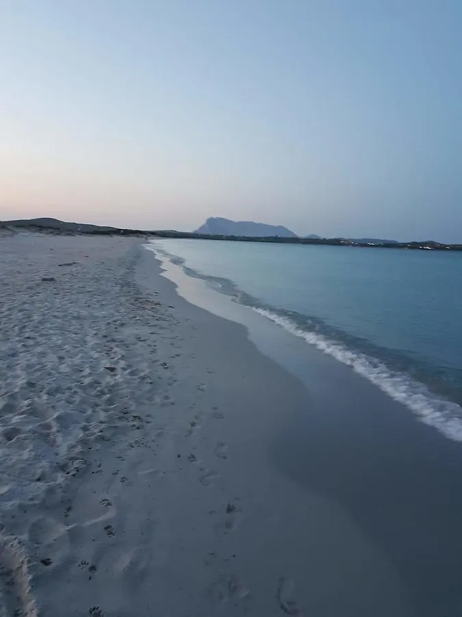 Villa Dettori San Teodoro  San Teodoro (Sardinia)