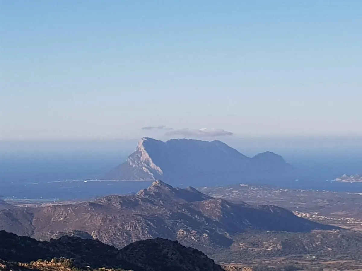 Affittacamere Villa Dettori San Teodoro